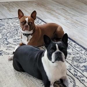 Meet your Posher, Lori